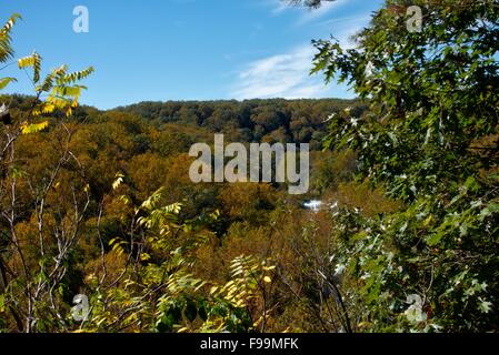 Frühherbst im Wald nahe dem Patapsco River. Stockfoto