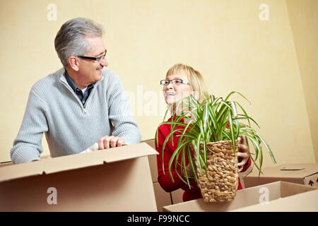 Ältere Frau Spinne Pflanze in einen Umzugskarton packen Stockfoto