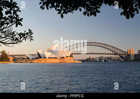 Das Sydney Opera House und die Sydney Harbour Bridge vom Lady Macquarie's Chair in den Royal Botanic Gardens, Australien Stockfoto