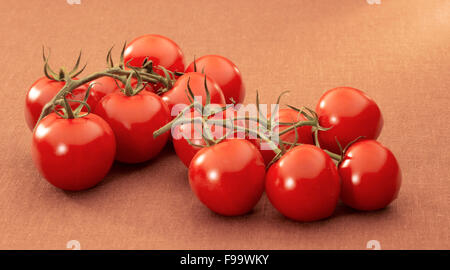 Tomaten Stockfoto