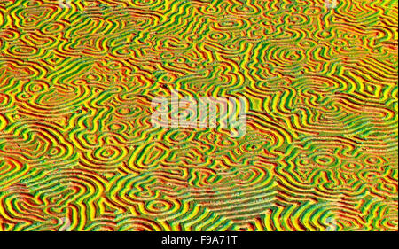 Full-Frame abstrakt geschnitzten Linienmuster in Baum-Farben lackiert Stockfoto