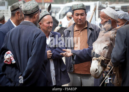 Ausschreibungen auf der berühmten Tiermarkt in Kashgar. Xinjiang, China. Stockfoto