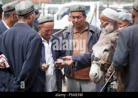 Ausschreibungen auf der berühmten Tiermarkt in Kashgar. Xinjiang, China. Stockfoto