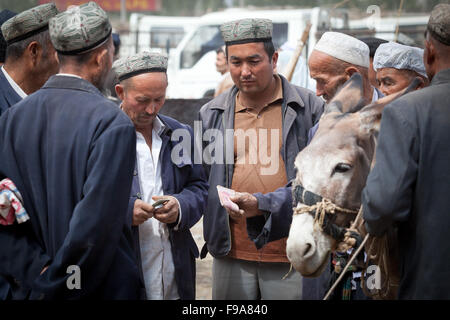 Ausschreibungen auf der berühmten Tiermarkt in Kashgar. Xinjiang, China. Stockfoto