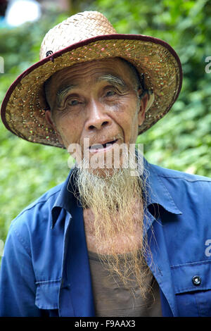 Porträt des chinesischen Greis, China Stockfoto