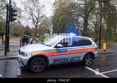 London-Reaktion auf Paris Terror-Attacken.  Mitwirkende: Hyde Park, wo: London, Vereinigtes Königreich bei: 14. November 2015 Stockfoto