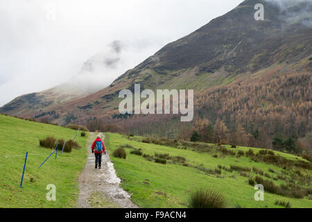 Eine Frau an der Seite von Buttermere in den Lake District Cumbria UK. Stockfoto