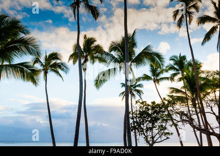 Beach Front im Shangri-La Fijian Resort und Spa, Yanuca Island, Coral Coast, Fidschi Stockfoto