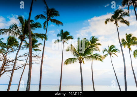 Beach Front im Shangri-La Fijian Resort und Spa, Yanuca Island, Coral Coast, Fidschi Stockfoto