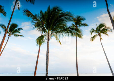 Beach Front im Shangri-La Fijian Resort und Spa, Yanuca Island, Coral Coast, Fidschi Stockfoto