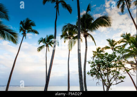 Beach Front im Shangri-La Fijian Resort und Spa, Yanuca Island, Coral Coast, Fidschi Stockfoto