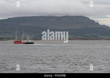 Das Foyle Venture fährt über Lough Foyle Magilligan in Nordirland mit Binevenagh-Berg im Hintergrund. Stockfoto