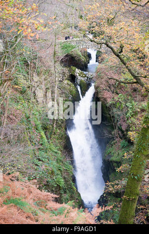 Aira Force Wasserfall Ullswater Cumbria, der Lake District UK im winter Stockfoto