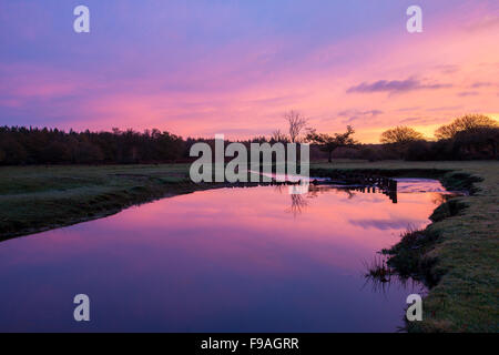 Ein Blick auf Ober Wasser im New Forest. Stockfoto