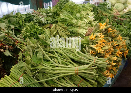 Blätter der Chayote, das Diuretikum und andere medizinische Immobilien zum Verkauf in einen Lebensmittelmarkt in Bangkok hat Stockfoto