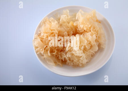 Schnee-Gelee Pilz chinesische traditionelle Medizin für Gesundheit Stockfoto