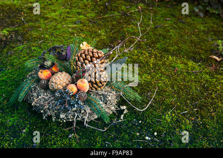 Adventskranz auf Moos mit Tannenzapfen und Niederlassungen Stockfoto