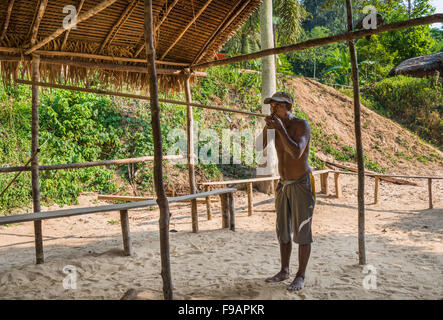 Eingeborene Orang Asil Mann, schießen eine Blasrohr, Taman Negara Malaysia Stockfoto