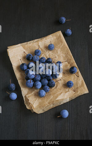 Wilde Beeren Dorn auf ein Pergament und dunklem Holz Stockfoto