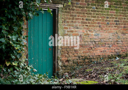 Grün bemalte Holztür in alten Cottage Garten Mauer umrahmt von Efeu, UK Stockfoto