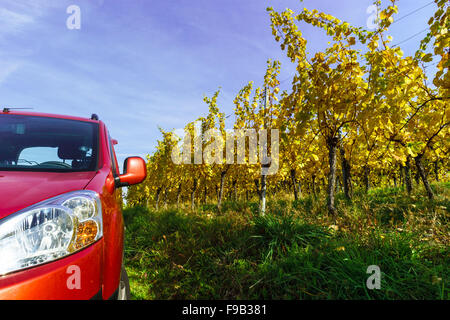 Rotes Auto in gelb Weinberg, Elsass, Frankreich Stockfoto