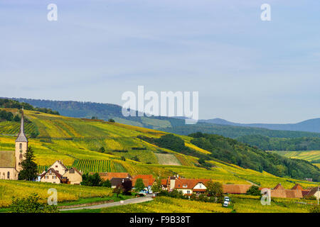 Schöne bunte Weinberge in Alsace Hügeln, Herbst Stockfoto