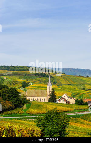 Schöne bunte Weinberge in Alsace Hügeln, Herbst Stockfoto