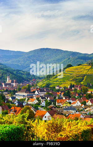 Schöne bunte Weinberge in Alsace Hügeln, Herbst Stockfoto