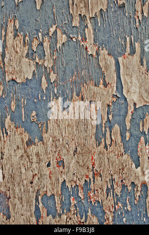 Blaue abblätternde Farbe auf Holz Stockfoto