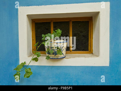 Holz-Fenster Stockfoto