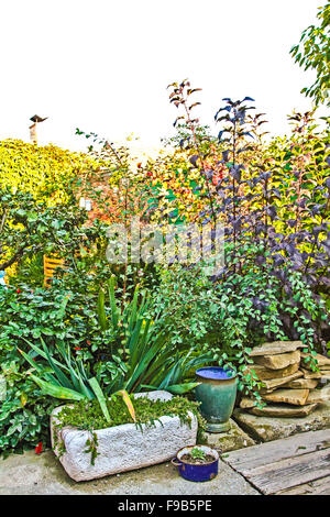 Kleinen Garten überwuchert Stockfoto