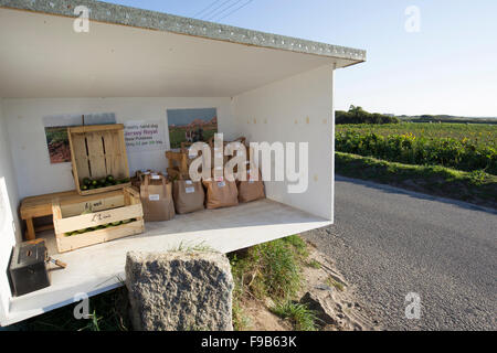 Hand gegraben Jersey Royal Kartoffeln zum Verkauf am Straßenrand Stockfoto