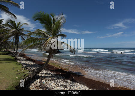 Bathseba in Barbados in der Pfarrei St. Joseph Stockfoto