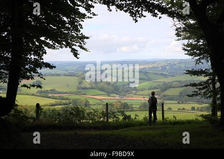 Blick nach Norden bis zu den Hügeln zwischen Bampton und Shillingford, Devon. Das Foto wurde in der Nähe der Bucht. Stockfoto