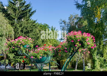 Gestalten Sie mit Blumen in der Stadt Garten von Razgrad, Bulgarien Stockfoto