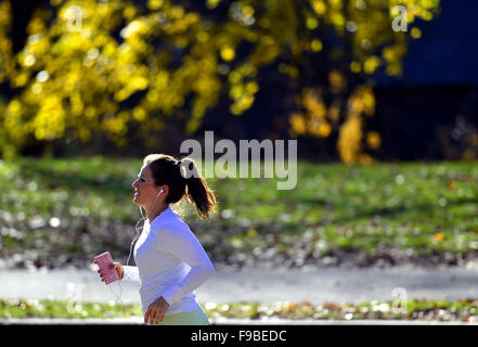 New York, USA. 15. Dezember 2015. Eine Frau joggt im Central Park in New York, USA, 15. Dezember 2015. New York stellte einen Rekord für die wärmste Dezember mit einigen Bewohnern nur paar Tage vor dem in der Regel kalte Weihnachtsurlaub in Shorts und Sandalen unterwegs. Temperaturen werden voraussichtlich überdurchschnittlich gut saisonal während der ganzen Woche bleiben, sagte der National Weather Service. © Wang Lei/Xinhua/Alamy Live-Nachrichten Stockfoto