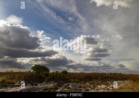 Himmel über die Mara Stockfoto