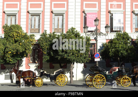 Kutschen in Sevilla, Andalusien, Spanien Stockfoto