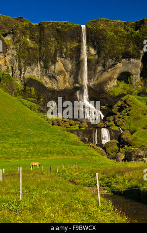 Wasserfall von einer Klippe in der Nähe Nupstadur farm Stockfoto