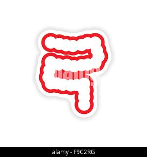Papier Sticker auf weißem Hintergrund menschlichen Darm Stock Vektor