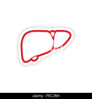 Papier Sticker auf weißem Hintergrund menschlichen Leber Stock Vektor