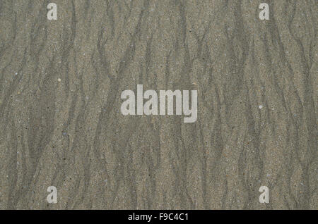 einen Hintergrund, Muster, meeressterne, grau, Sand, Sand Meer, Textur, nass Stockfoto