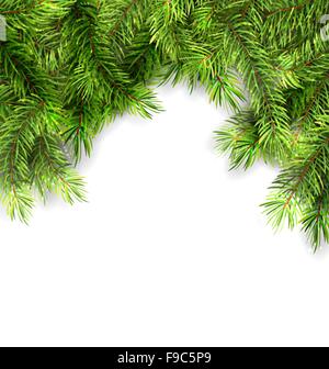 Natürlichen Rahmen mit Tannengrün Stock Vektor