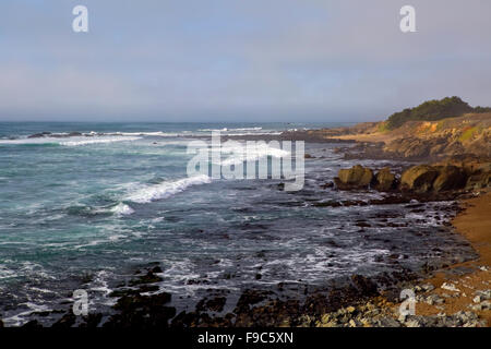 California Klippen mit tiefblauem Himmel und Strähnen von Wolke schäumenden Wogen kaskadiert auf braunen Sandstrand Stockfoto