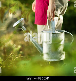 Junge männliche Gärtner ist Pflanzen im Garten gießen. Stockfoto