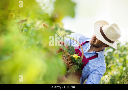 Junge männliche Gärtner im Garten arbeiten Stockfoto