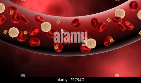 Blutgefäß mit Thrombozyten, Leukozyten und Erythrozyten. Stockfoto