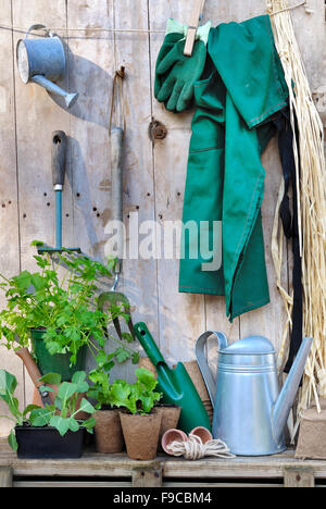 Zubehör und Gartenarbeitwerkzeug hängen auf Holzboden Stockfoto