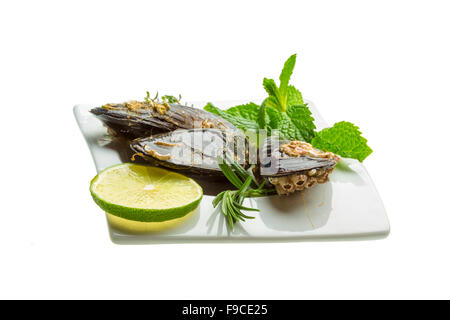 Wilde Muschel-Makro-Studio-Shooting Stockfoto