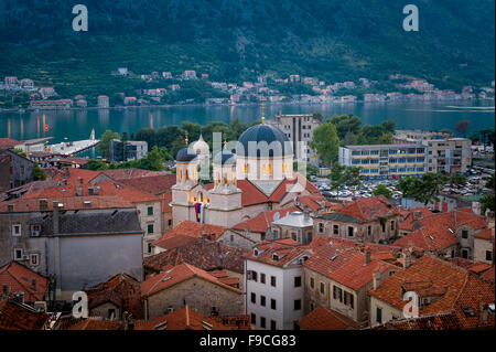 Alte Stadt Kotor Ant-Kathedrale Nachtansicht Stockfoto